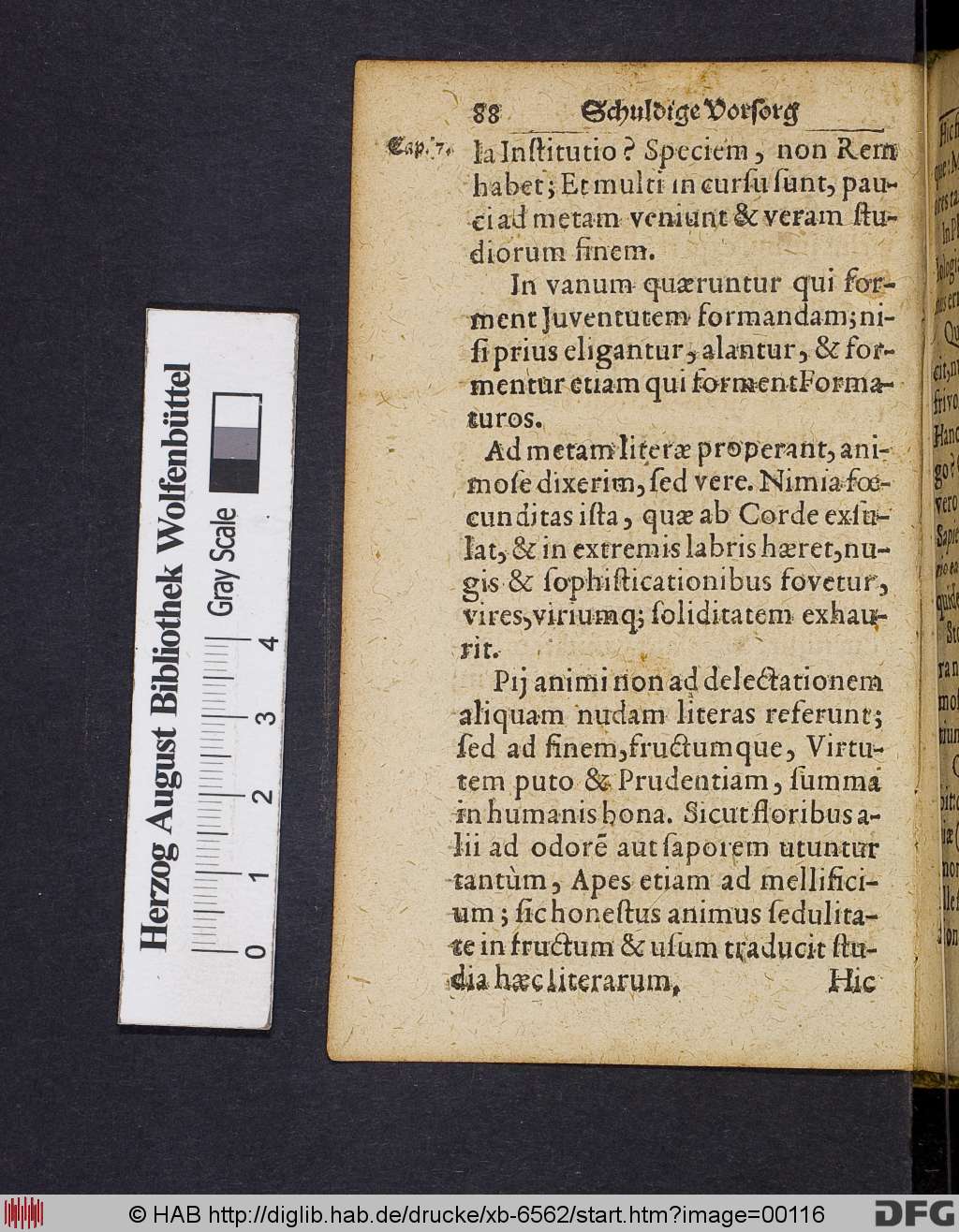 http://diglib.hab.de/drucke/xb-6562/00116.jpg