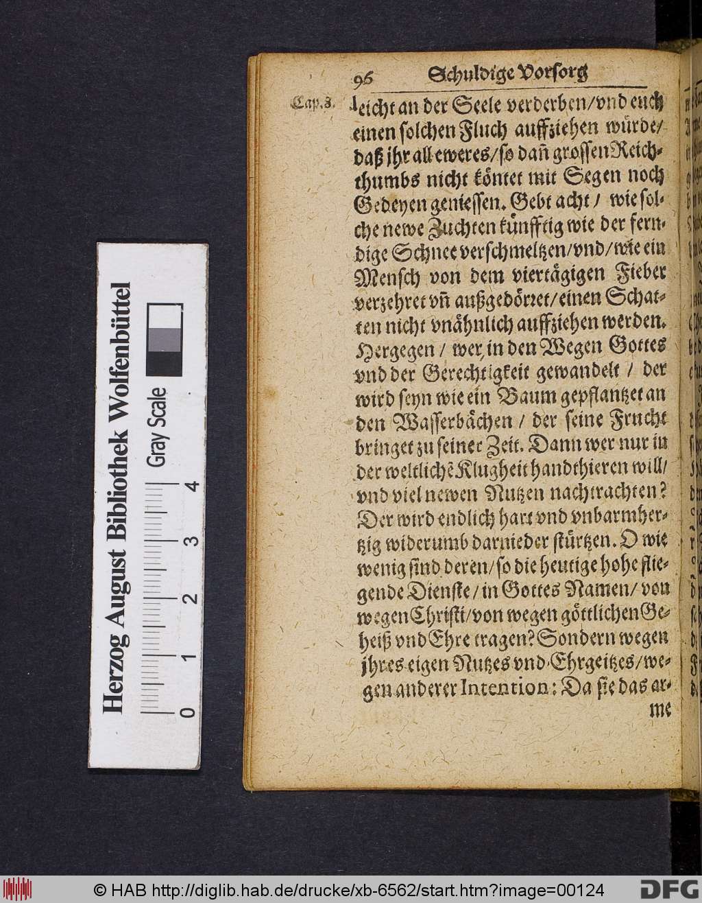 http://diglib.hab.de/drucke/xb-6562/00124.jpg