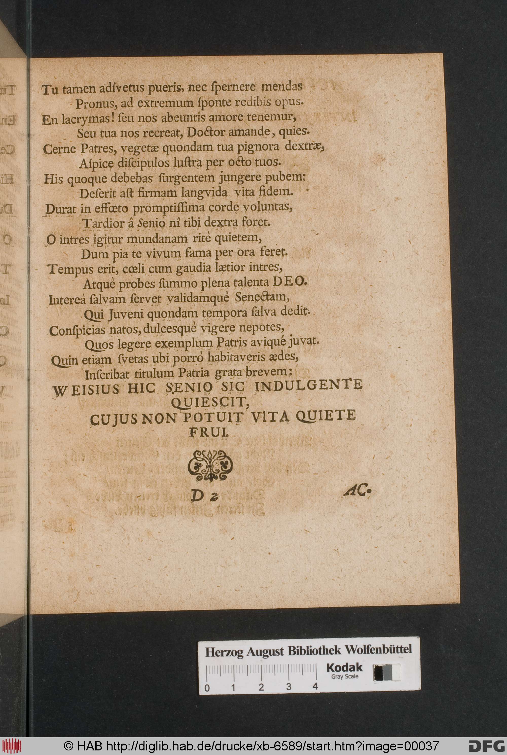 http://diglib.hab.de/drucke/xb-6589/max/00037.jpg