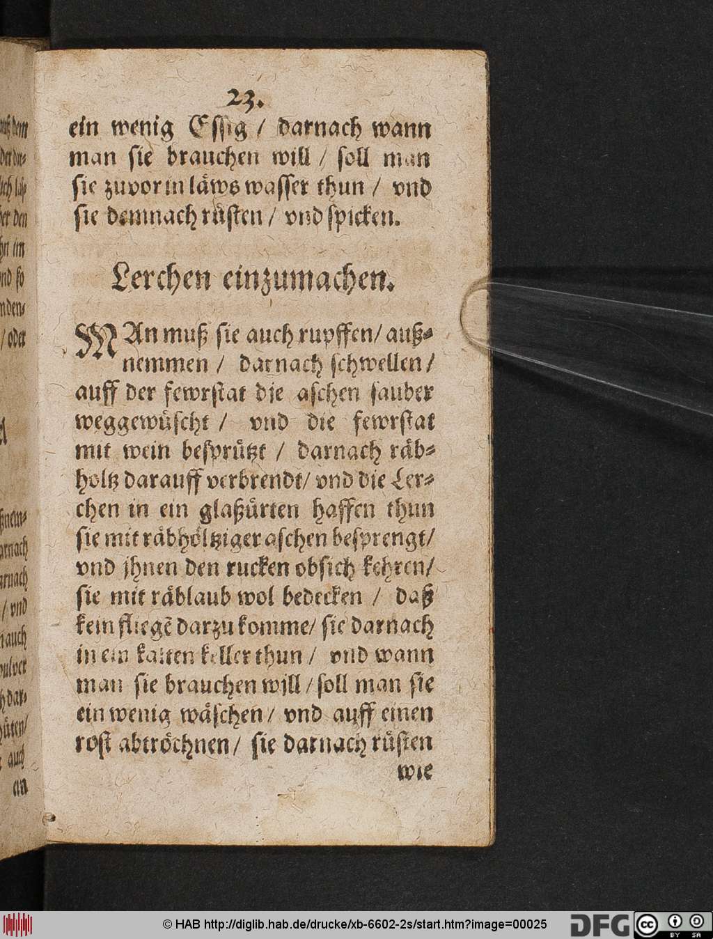 http://diglib.hab.de/drucke/xb-6602-2s/00025.jpg