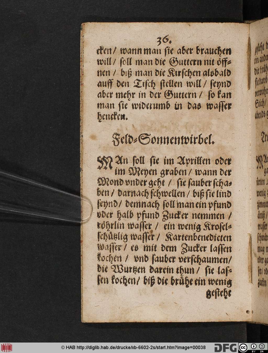 http://diglib.hab.de/drucke/xb-6602-2s/00038.jpg