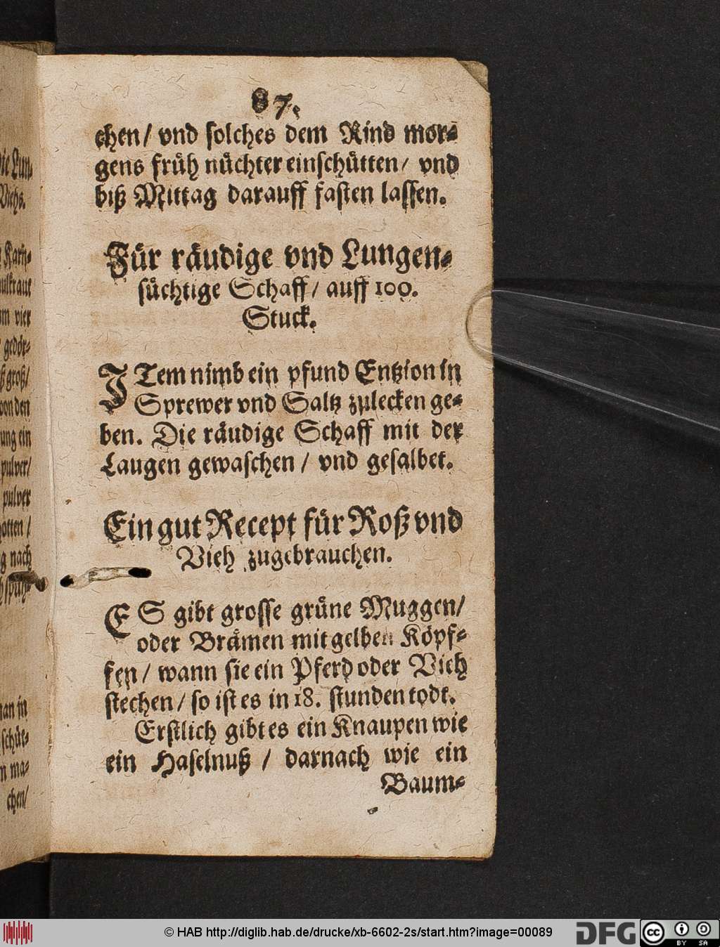 http://diglib.hab.de/drucke/xb-6602-2s/00089.jpg