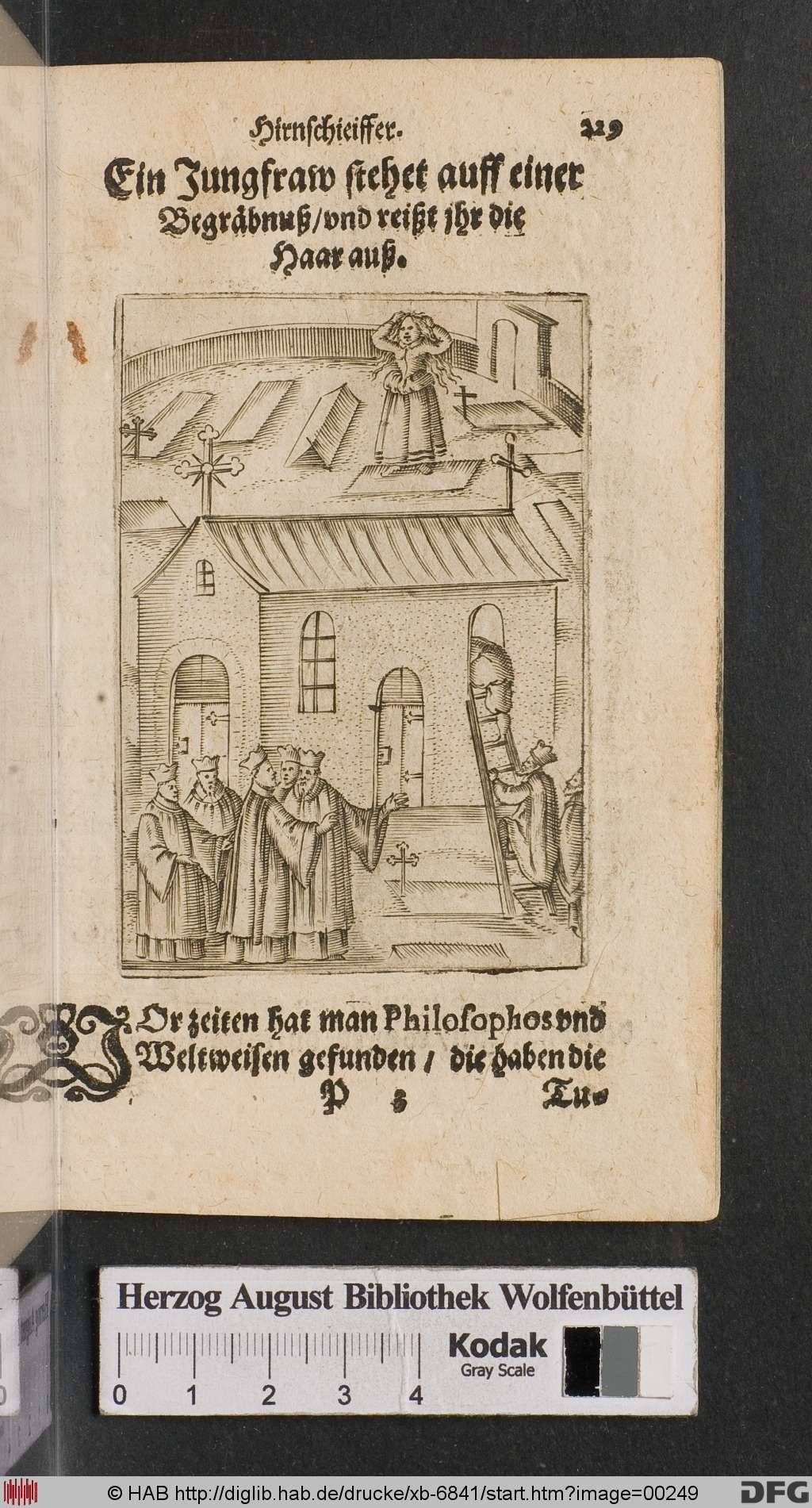 http://diglib.hab.de/drucke/xb-6841/00249.jpg