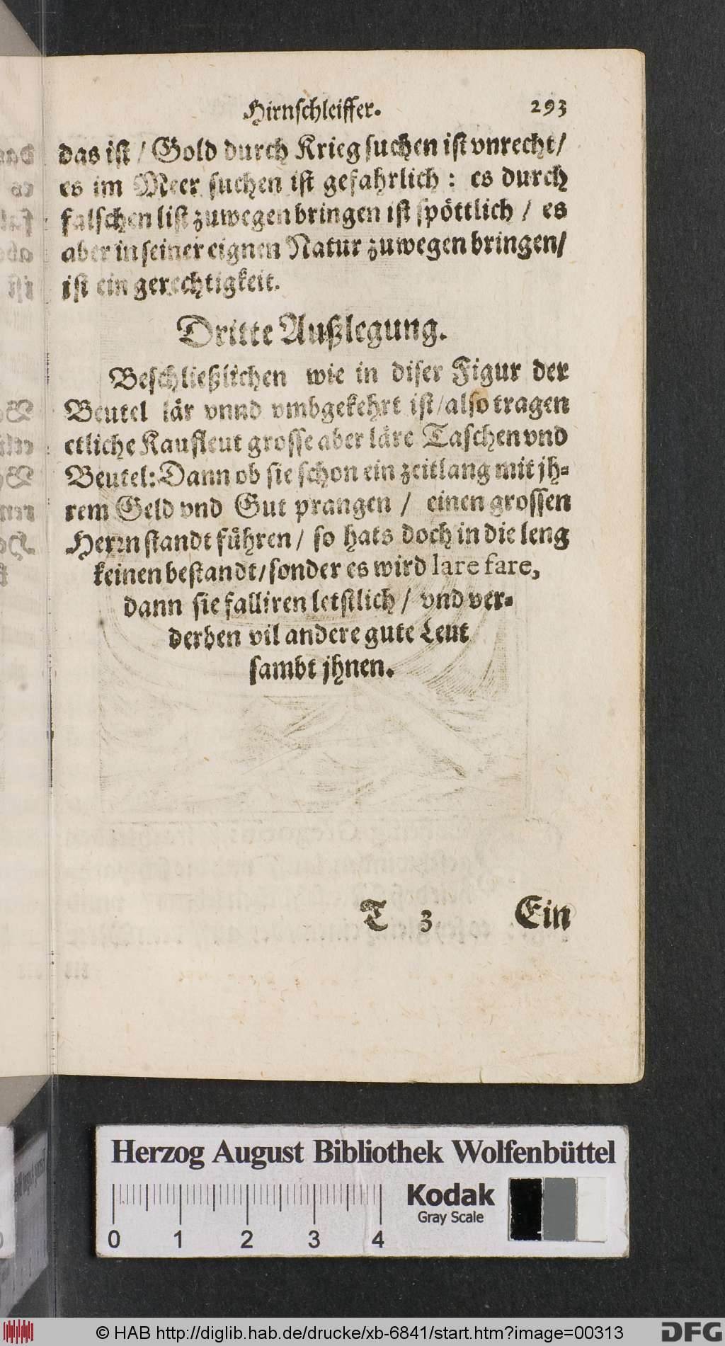 http://diglib.hab.de/drucke/xb-6841/00313.jpg