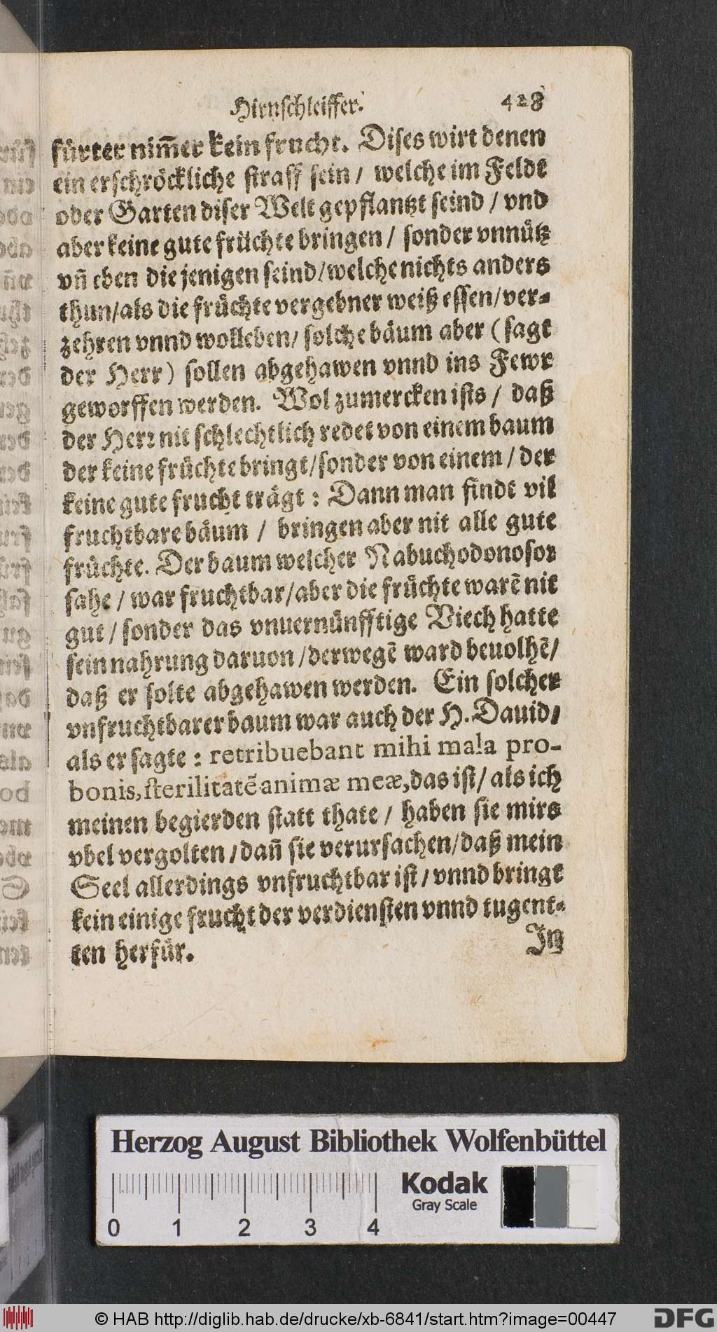 http://diglib.hab.de/drucke/xb-6841/00447.jpg