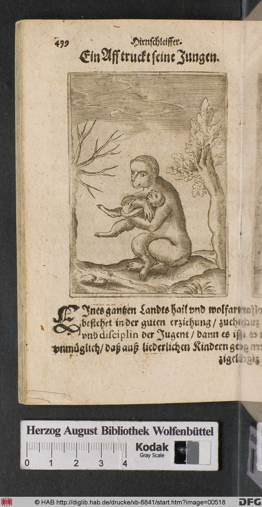 http://diglib.hab.de/drucke/xb-6841/00518.jpg