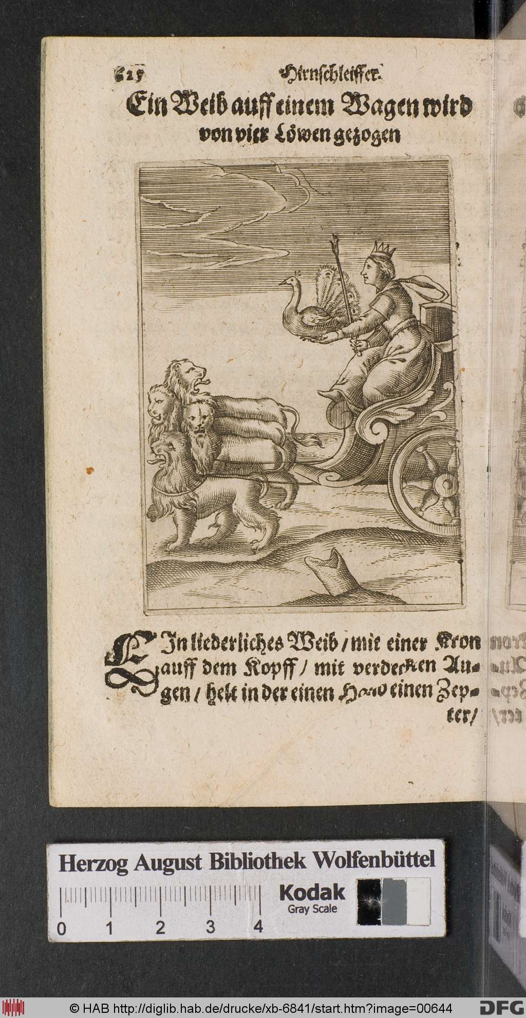 http://diglib.hab.de/drucke/xb-6841/00644.jpg