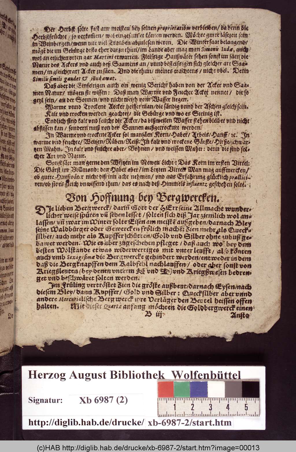 http://diglib.hab.de/drucke/xb-6987-2/00013.jpg