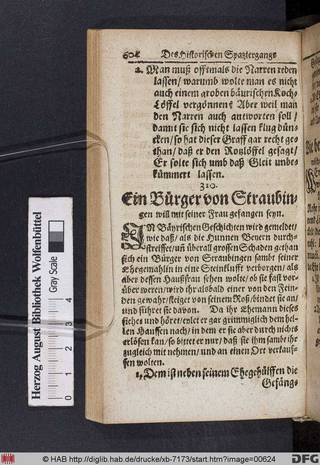 http://diglib.hab.de/drucke/xb-7173/00624.jpg