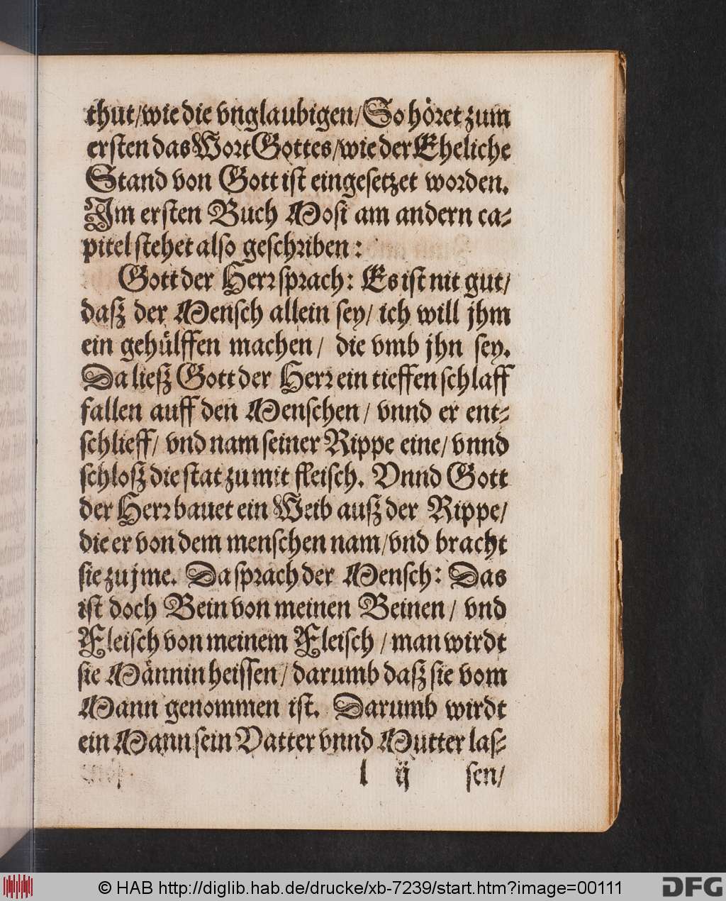 http://diglib.hab.de/drucke/xb-7239/00111.jpg