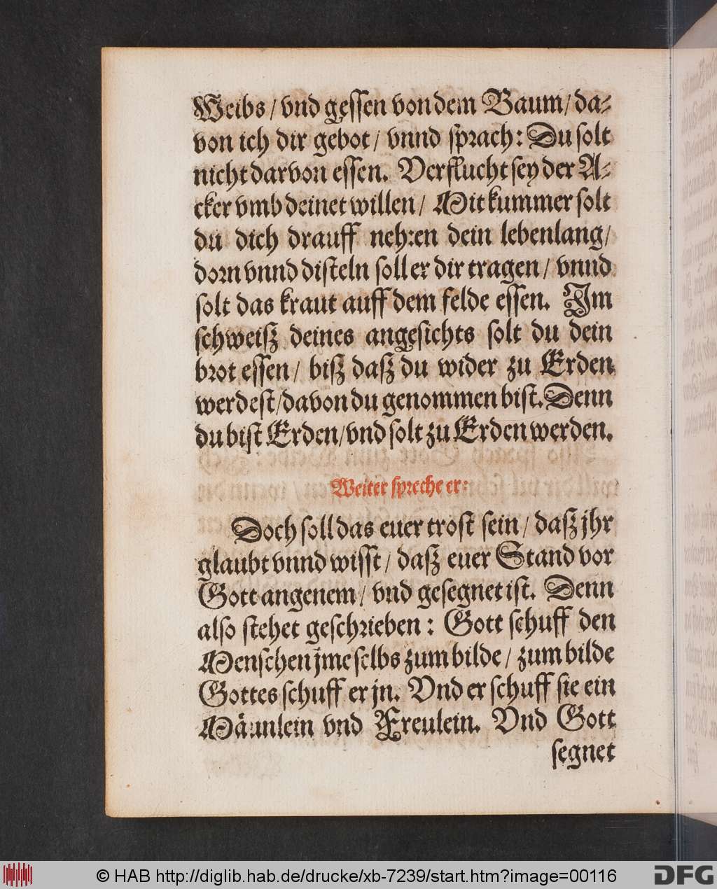 http://diglib.hab.de/drucke/xb-7239/00116.jpg