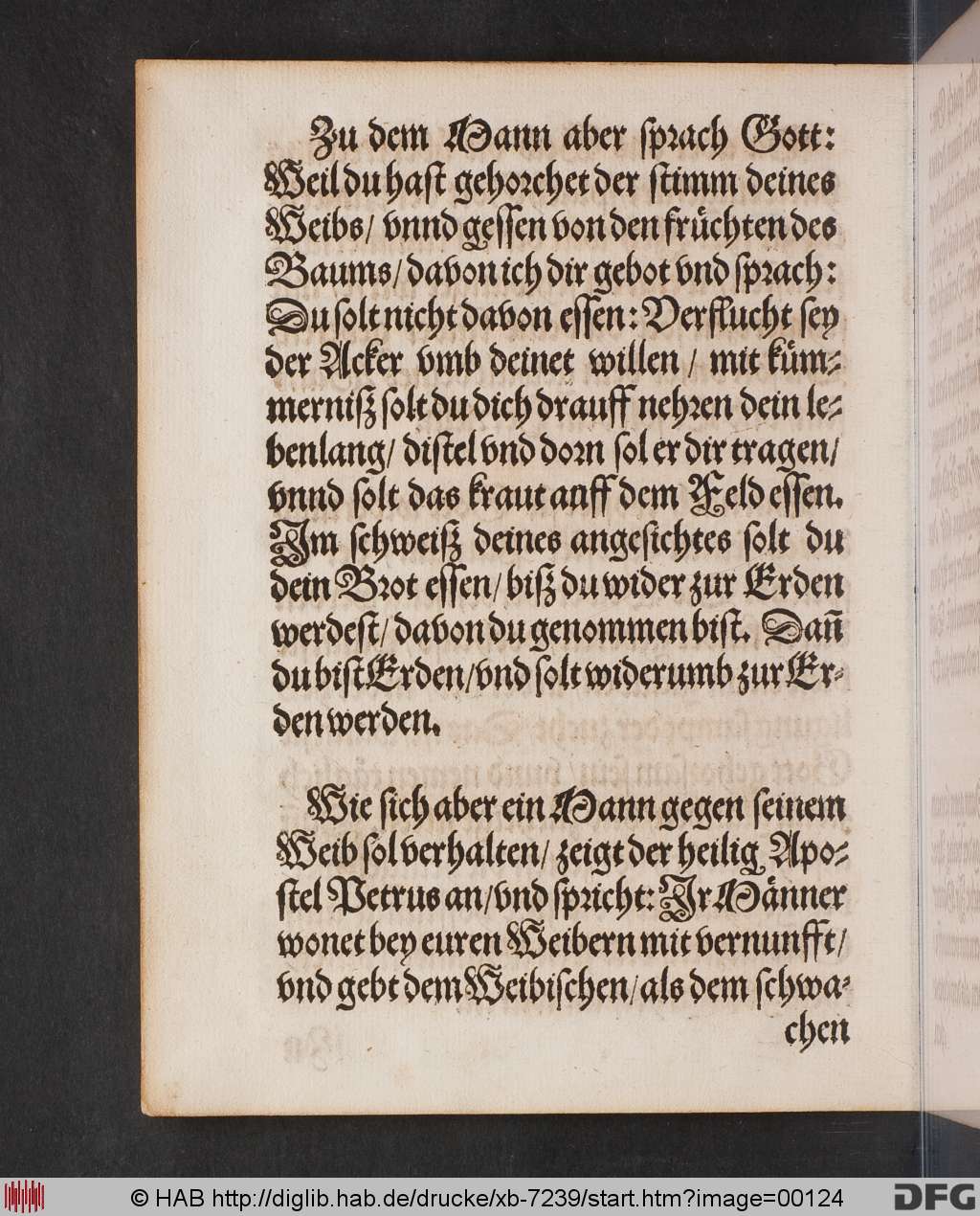 http://diglib.hab.de/drucke/xb-7239/00124.jpg