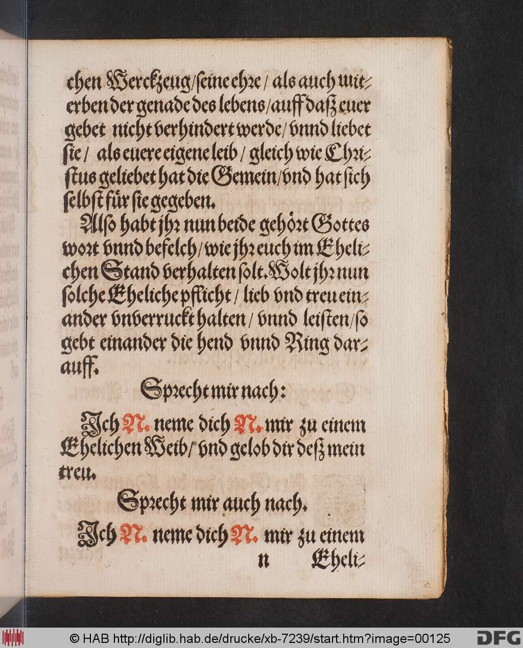 http://diglib.hab.de/drucke/xb-7239/00125.jpg