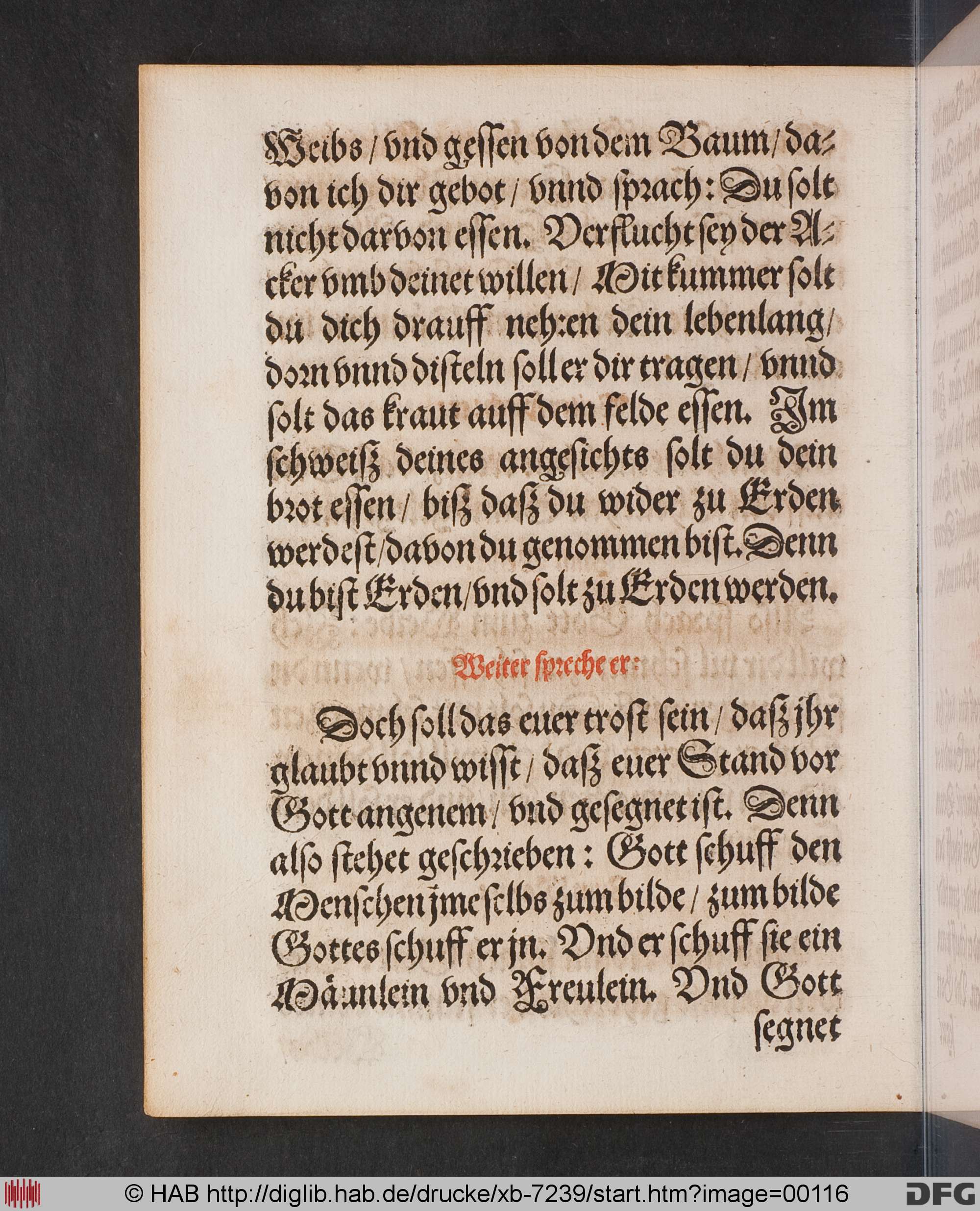 http://diglib.hab.de/drucke/xb-7239/max/00116.jpg