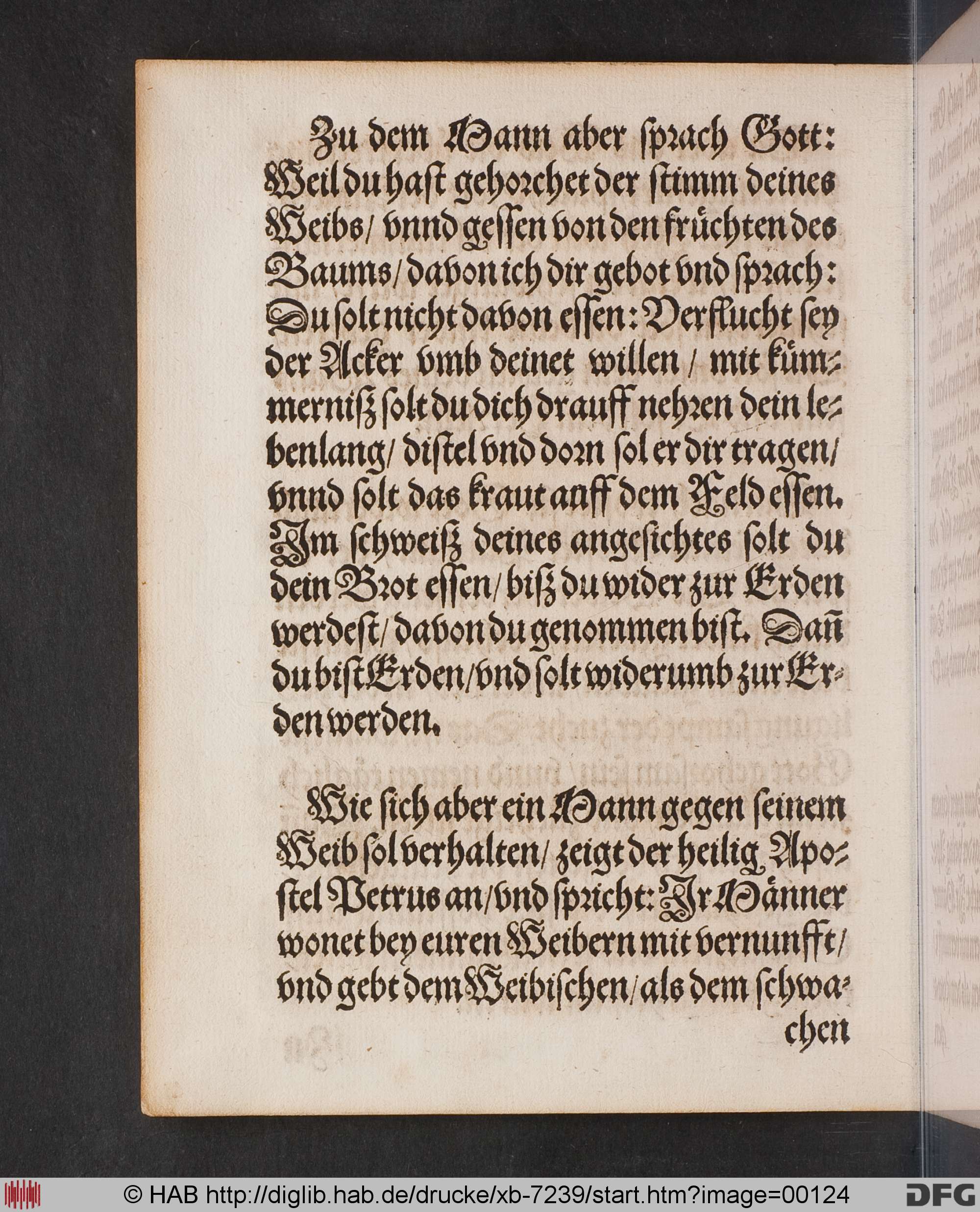 http://diglib.hab.de/drucke/xb-7239/max/00124.jpg