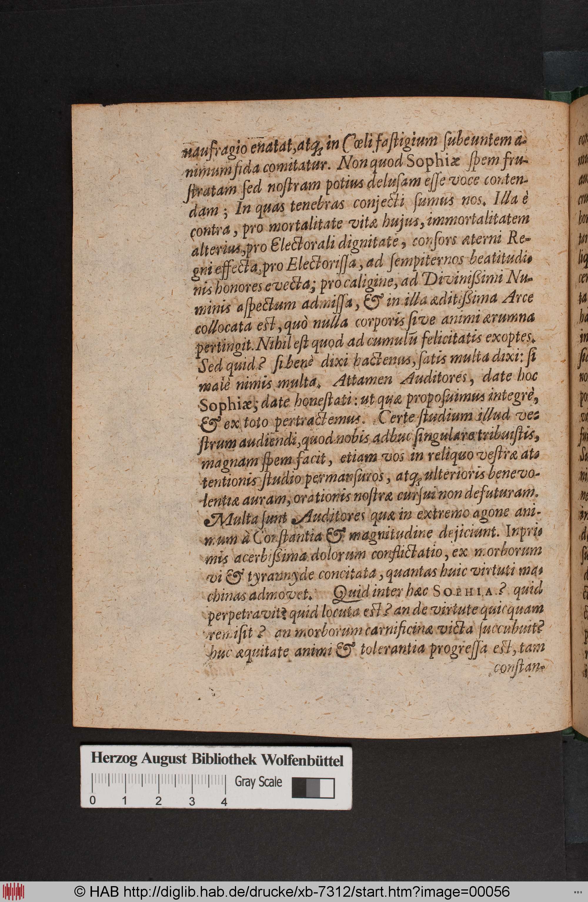 http://diglib.hab.de/drucke/xb-7312/max/00056.jpg