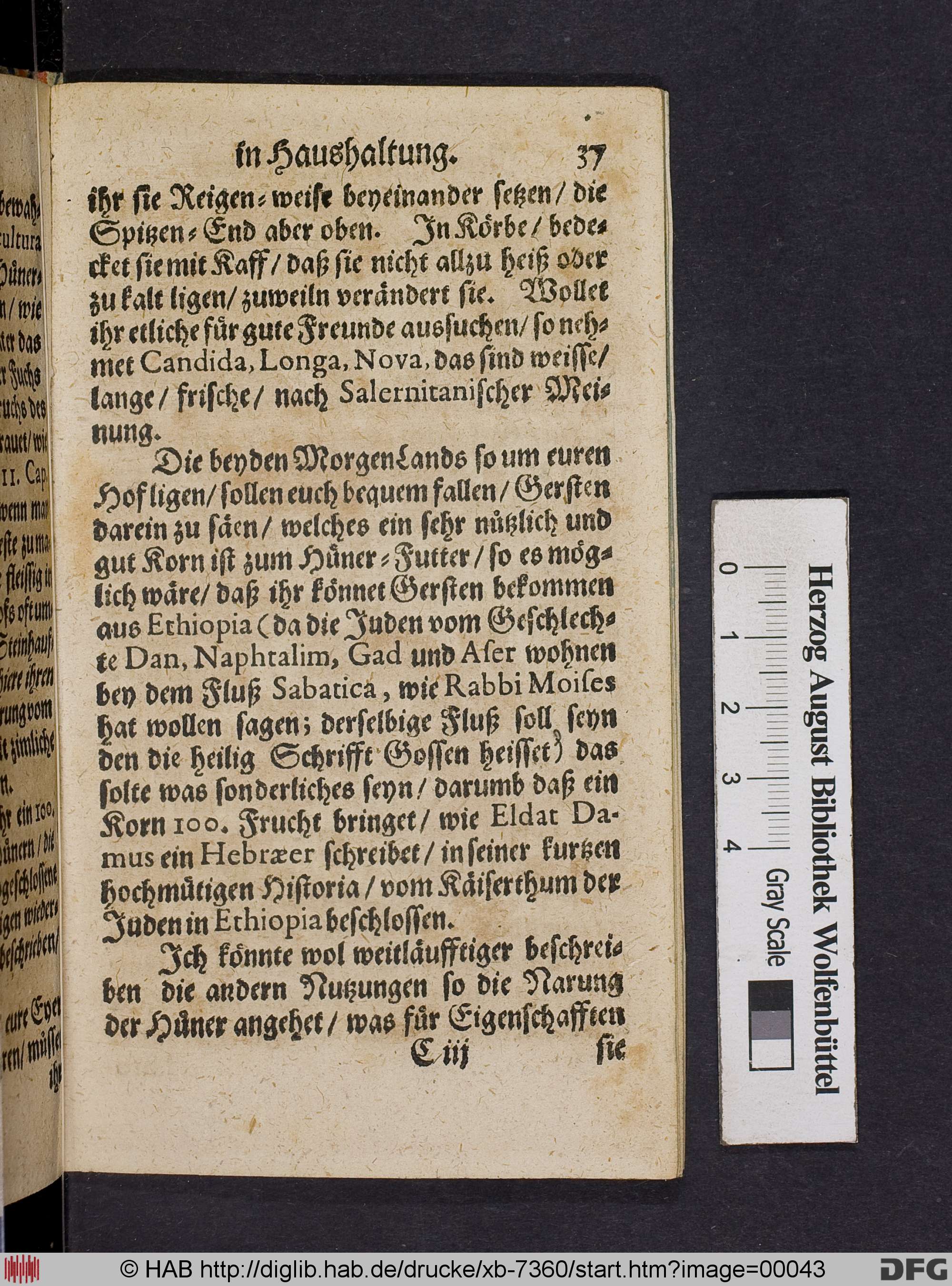 http://diglib.hab.de/drucke/xb-7360/max/00043.jpg