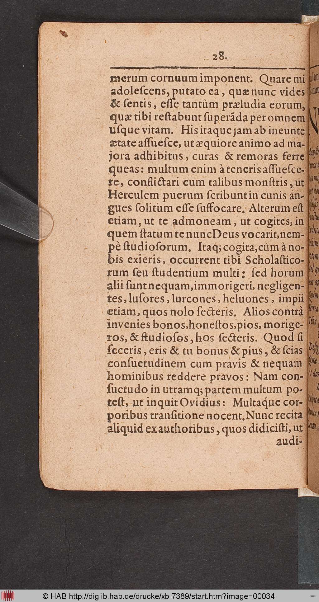 http://diglib.hab.de/drucke/xb-7389/00034.jpg