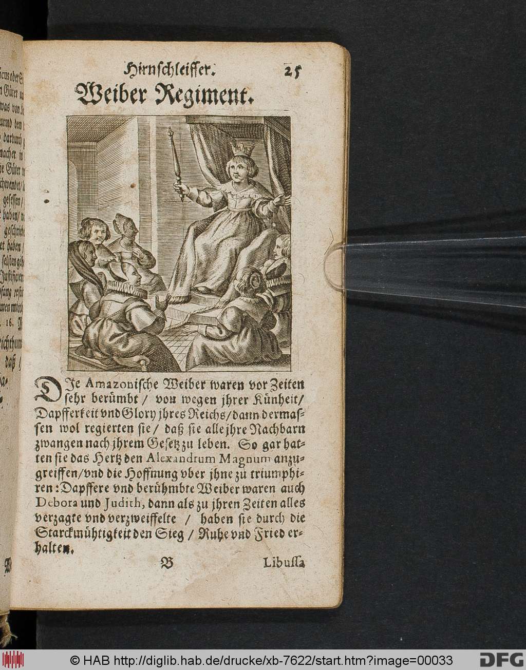 http://diglib.hab.de/drucke/xb-7622/00033.jpg