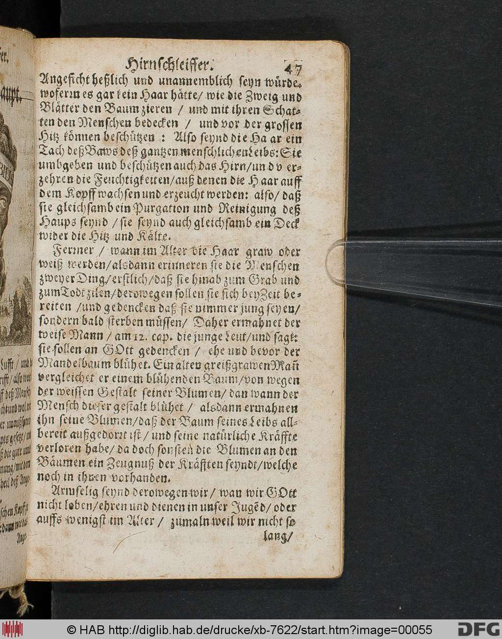 http://diglib.hab.de/drucke/xb-7622/00055.jpg