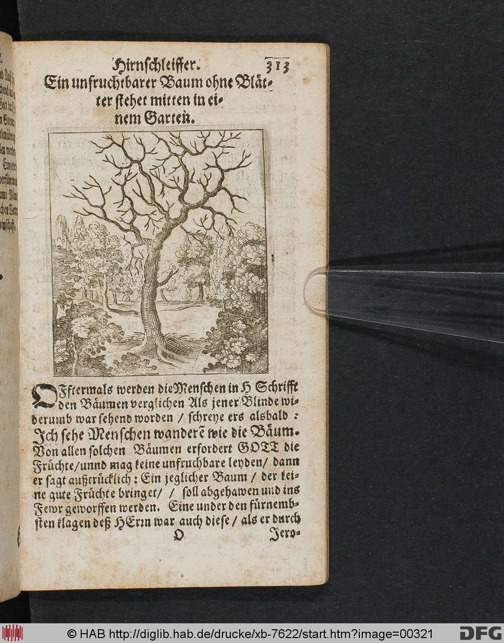 http://diglib.hab.de/drucke/xb-7622/00321.jpg