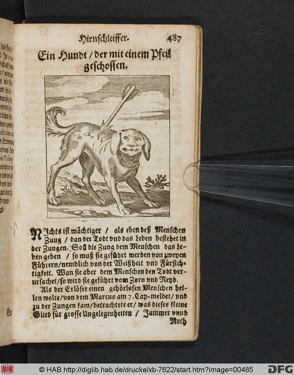 http://diglib.hab.de/drucke/xb-7622/00485.jpg