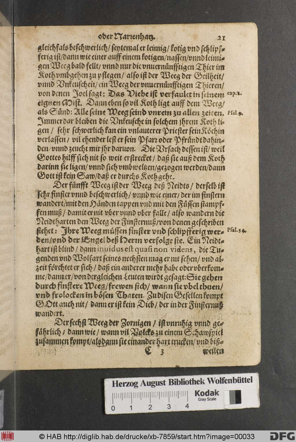 http://diglib.hab.de/drucke/xb-7859/00033.jpg