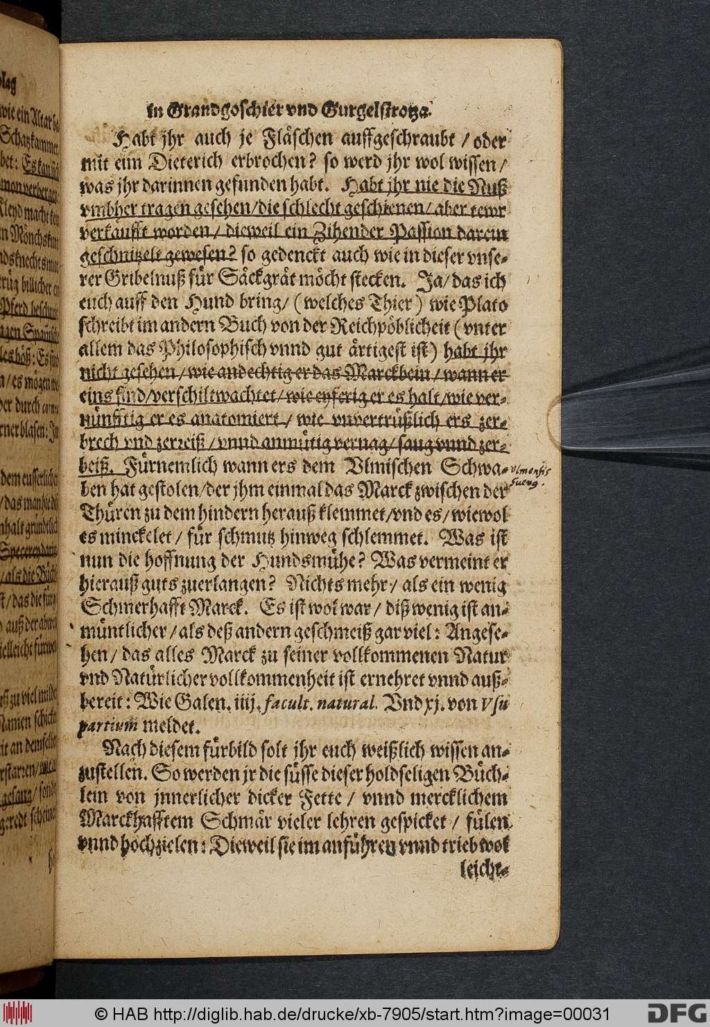http://diglib.hab.de/drucke/xb-7905/00031.jpg