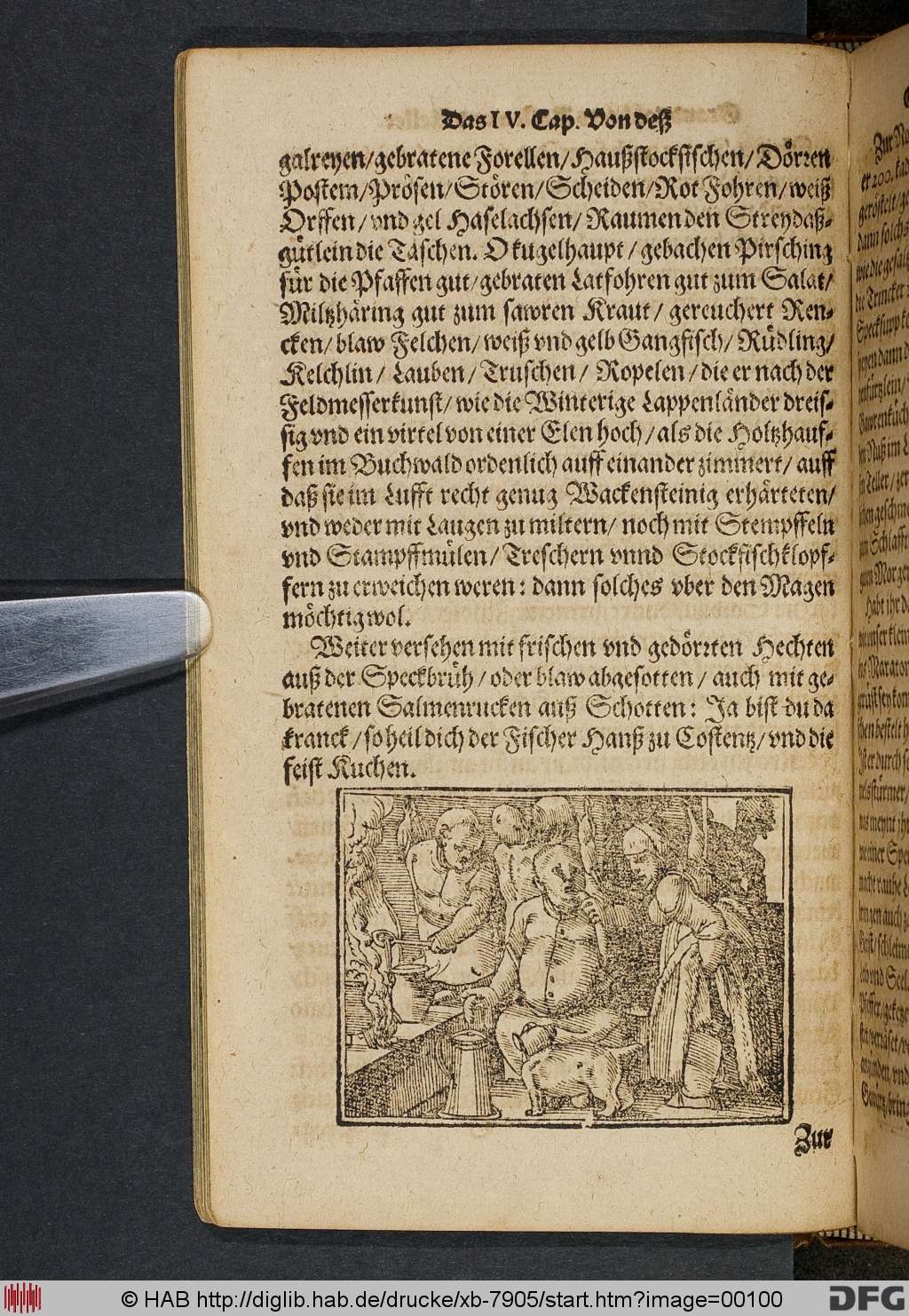 http://diglib.hab.de/drucke/xb-7905/00100.jpg