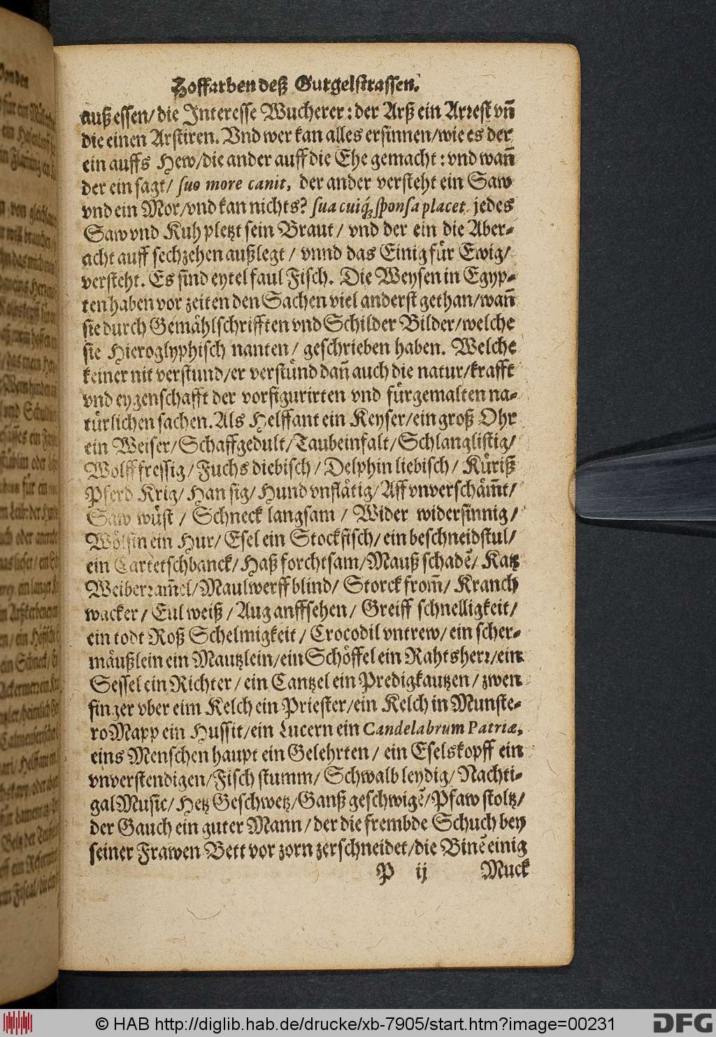 http://diglib.hab.de/drucke/xb-7905/00231.jpg