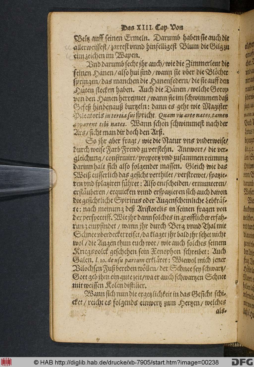 http://diglib.hab.de/drucke/xb-7905/00238.jpg