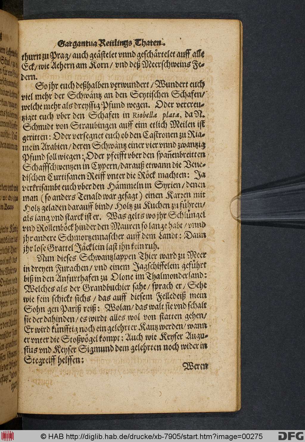 http://diglib.hab.de/drucke/xb-7905/00275.jpg