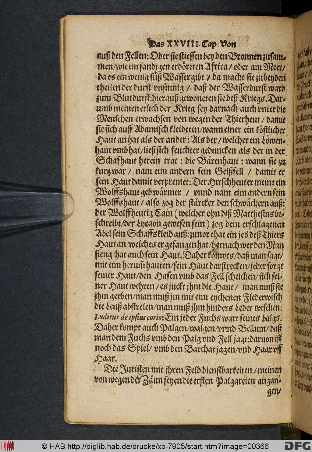 http://diglib.hab.de/drucke/xb-7905/00366.jpg