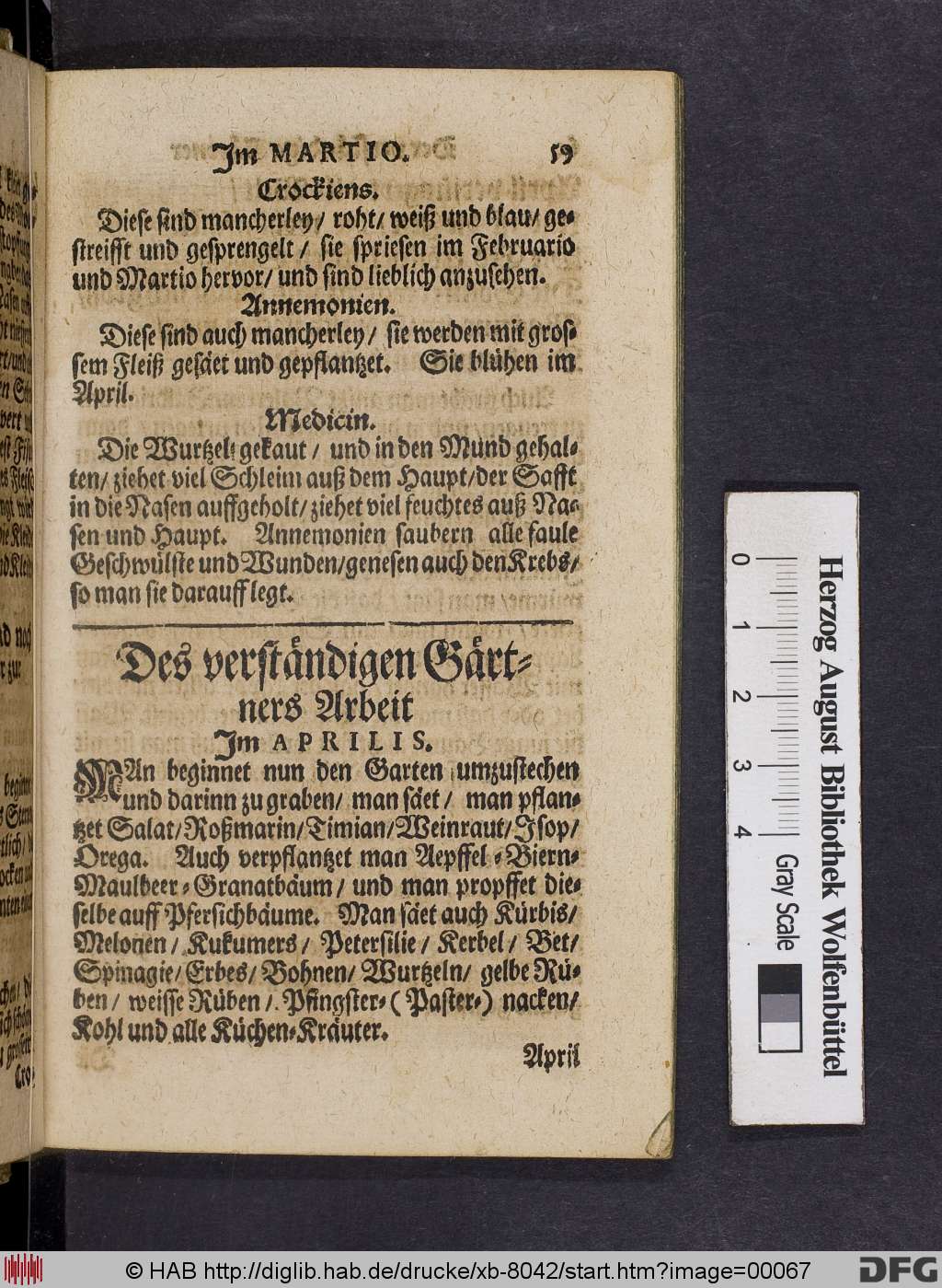 http://diglib.hab.de/drucke/xb-8042/00067.jpg