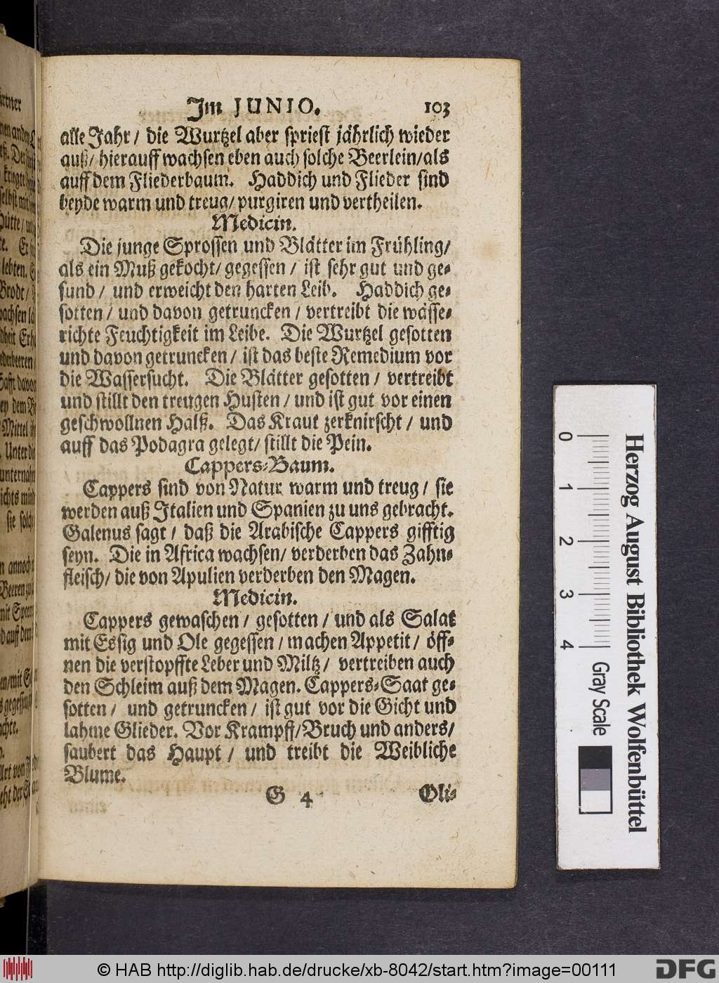 http://diglib.hab.de/drucke/xb-8042/00111.jpg
