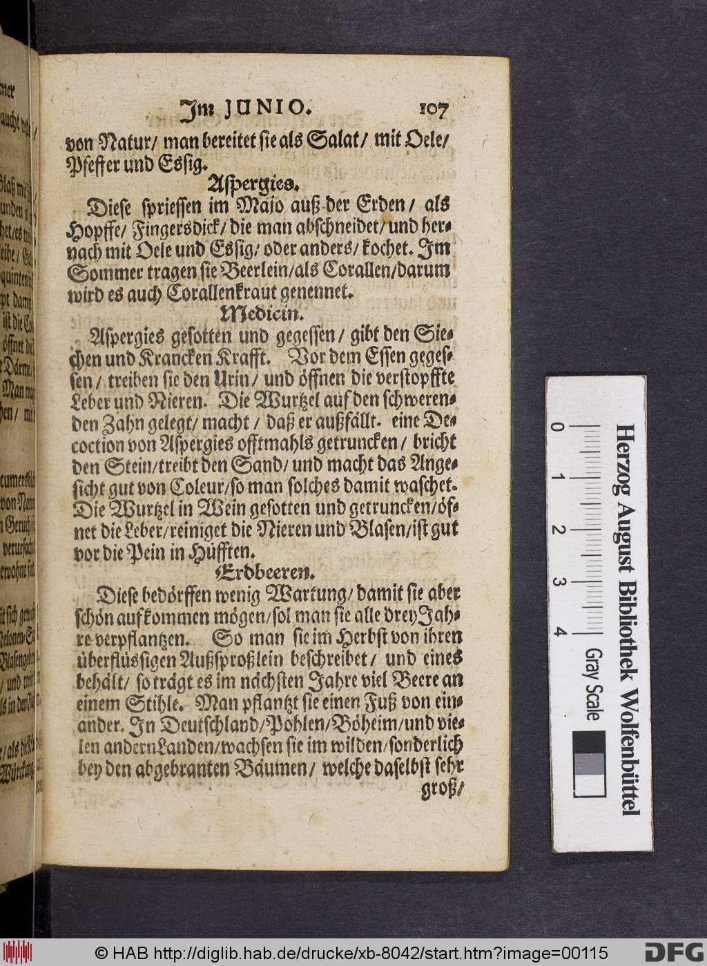 http://diglib.hab.de/drucke/xb-8042/00115.jpg