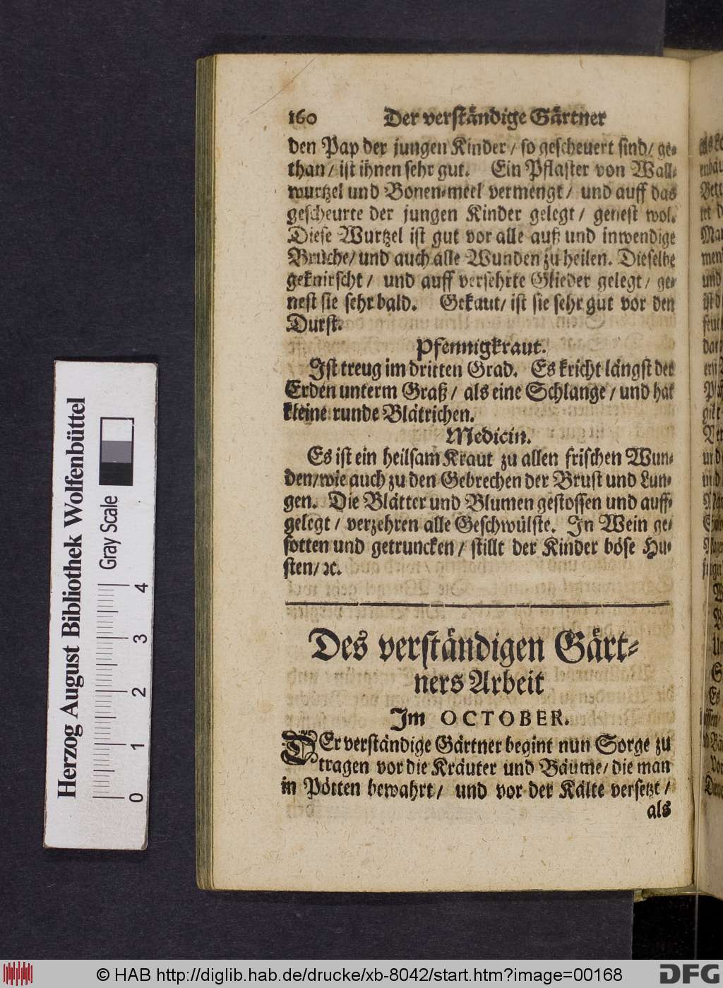 http://diglib.hab.de/drucke/xb-8042/00168.jpg