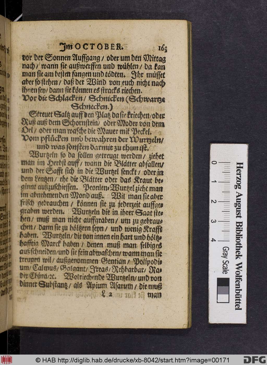http://diglib.hab.de/drucke/xb-8042/00171.jpg