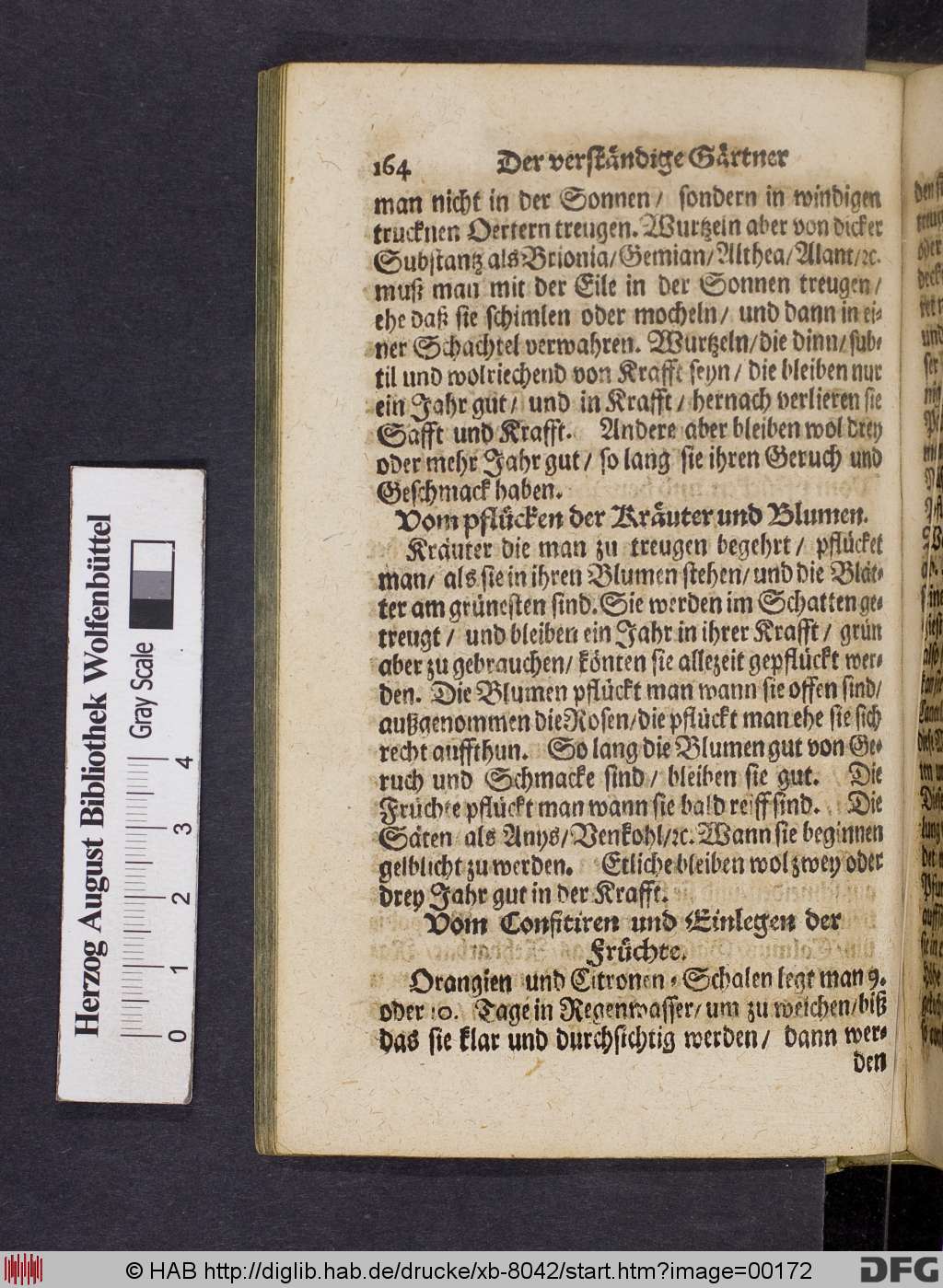http://diglib.hab.de/drucke/xb-8042/00172.jpg