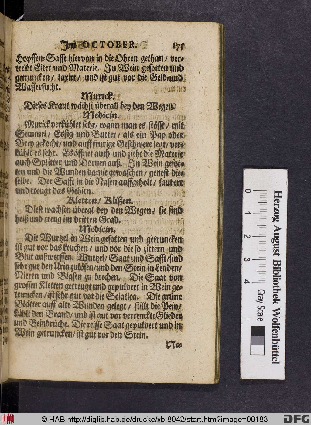 http://diglib.hab.de/drucke/xb-8042/00183.jpg