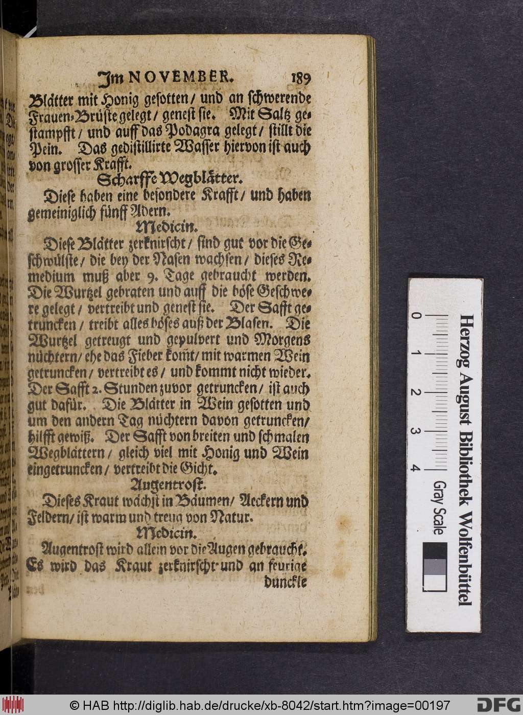 http://diglib.hab.de/drucke/xb-8042/00197.jpg