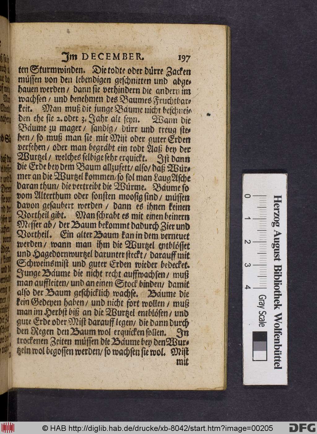 http://diglib.hab.de/drucke/xb-8042/00205.jpg