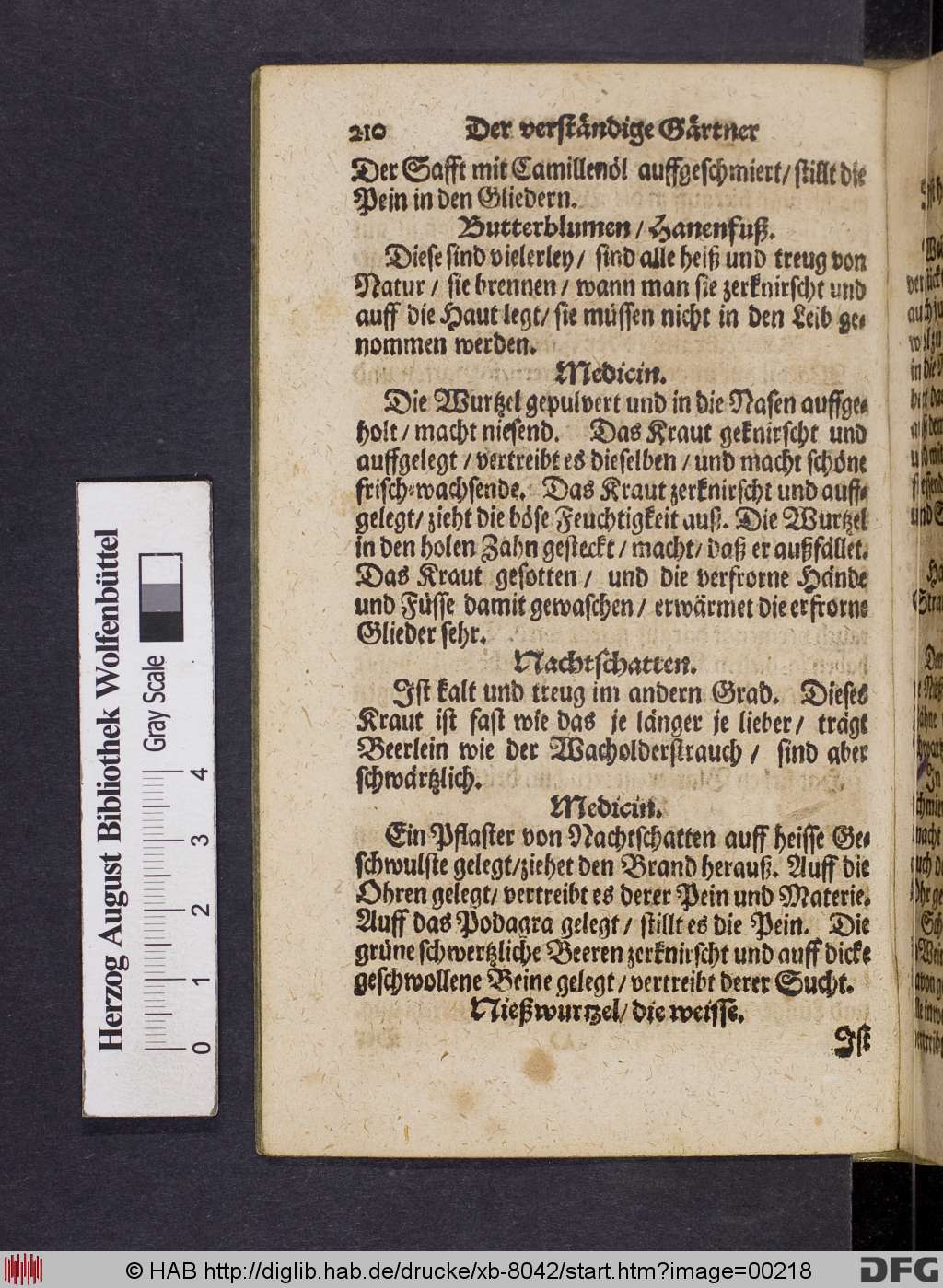 http://diglib.hab.de/drucke/xb-8042/00218.jpg