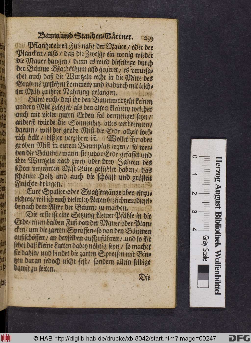 http://diglib.hab.de/drucke/xb-8042/00247.jpg
