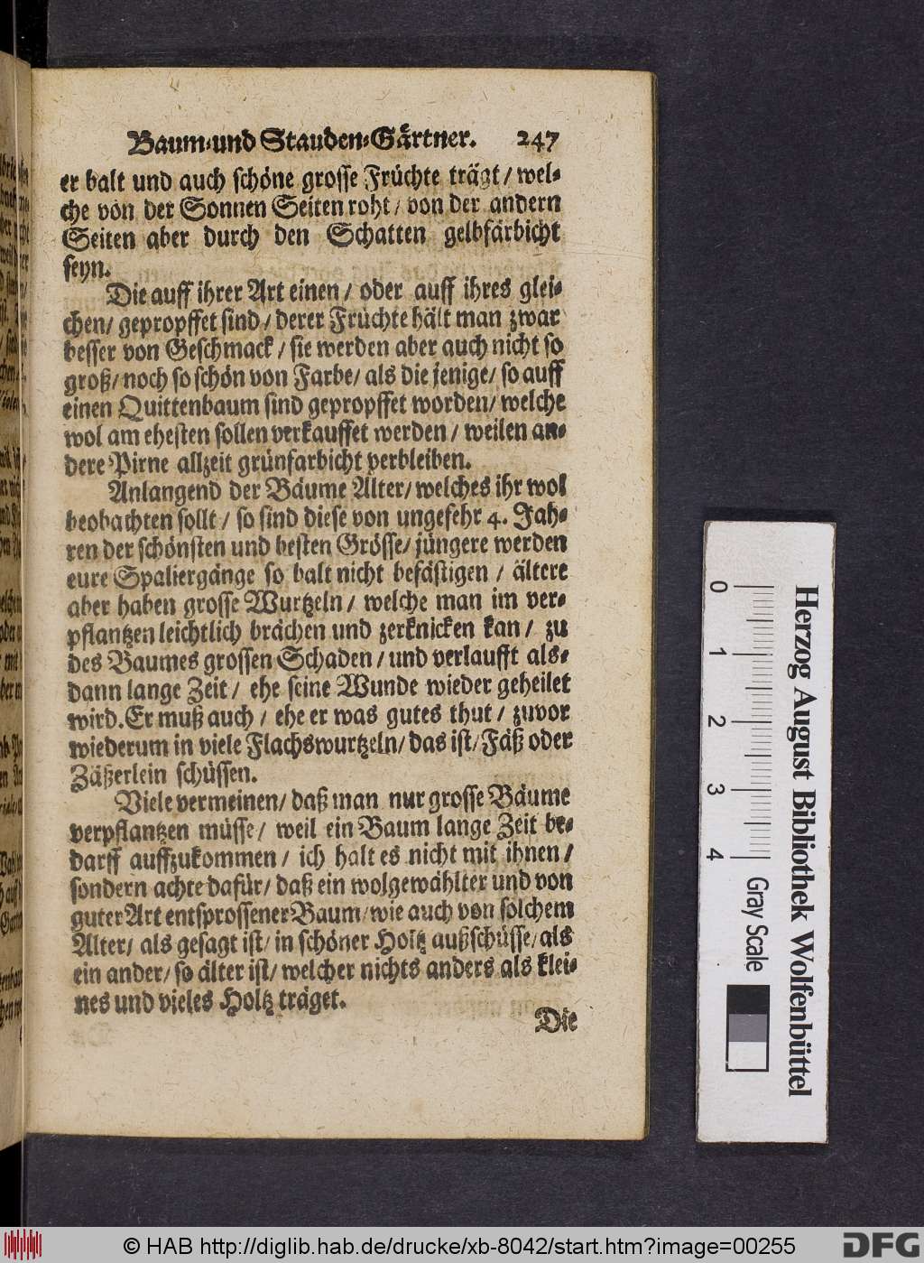 http://diglib.hab.de/drucke/xb-8042/00255.jpg