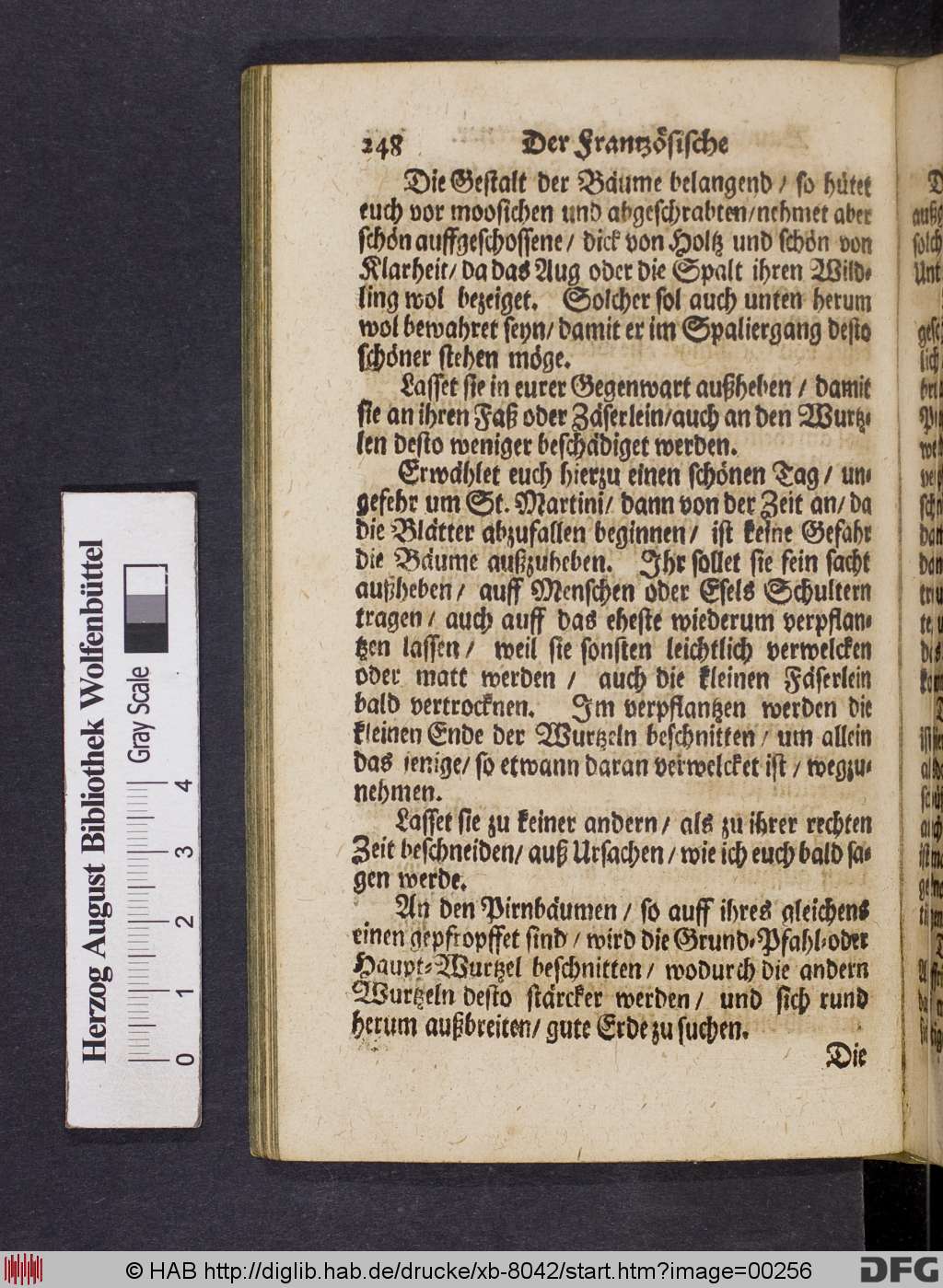http://diglib.hab.de/drucke/xb-8042/00256.jpg