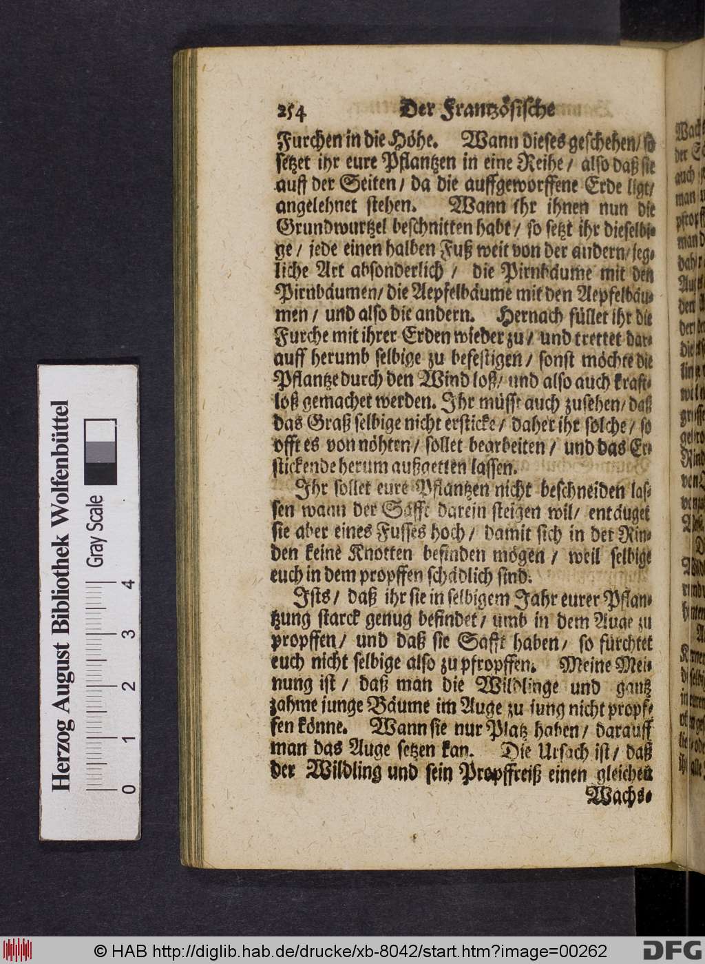 http://diglib.hab.de/drucke/xb-8042/00262.jpg