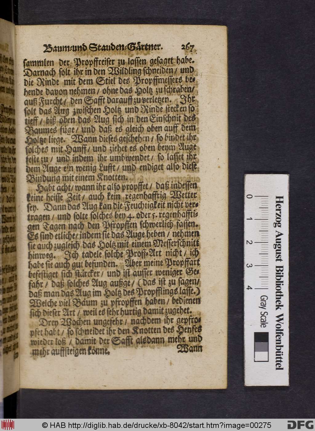http://diglib.hab.de/drucke/xb-8042/00275.jpg