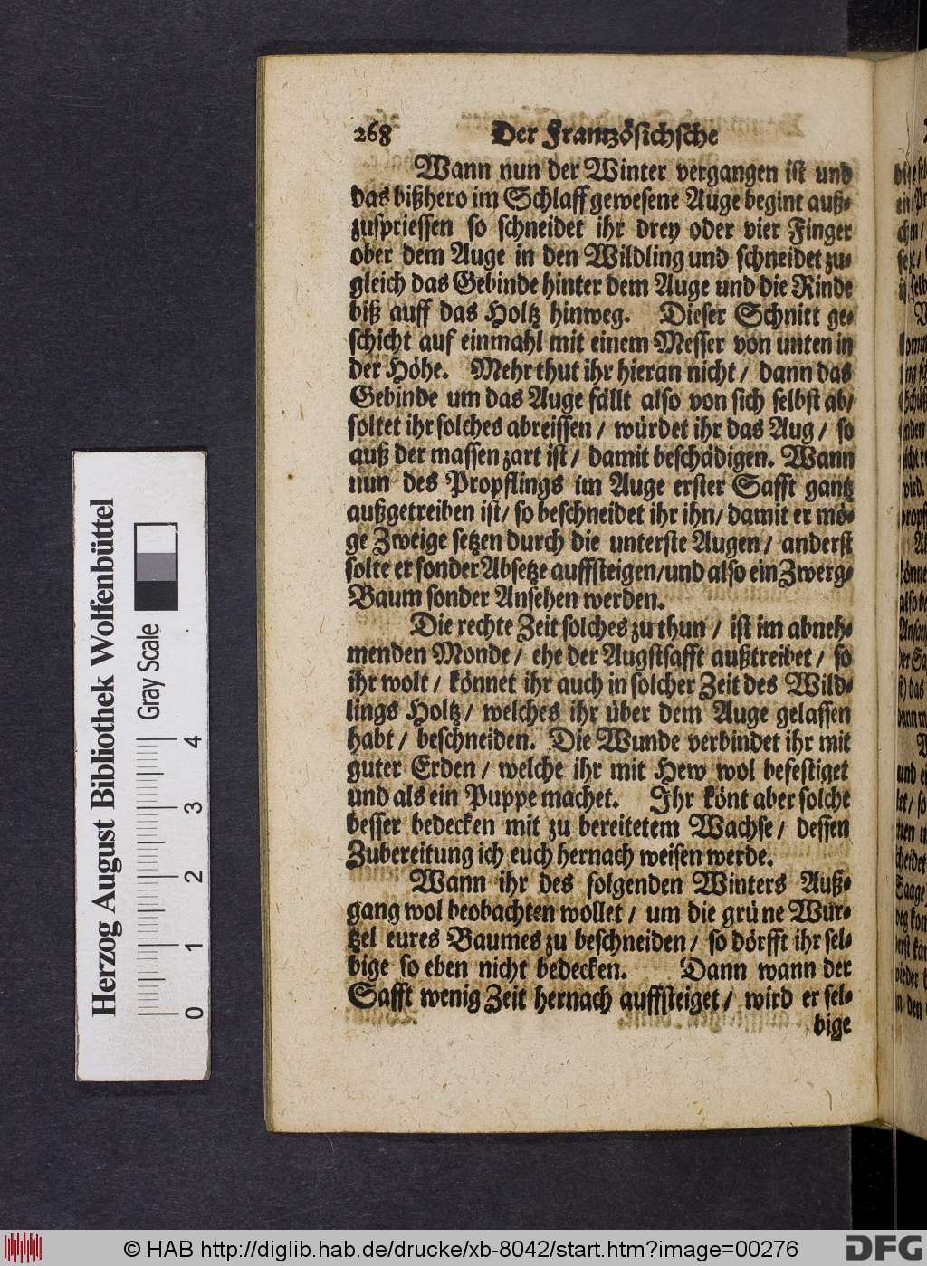 http://diglib.hab.de/drucke/xb-8042/00276.jpg