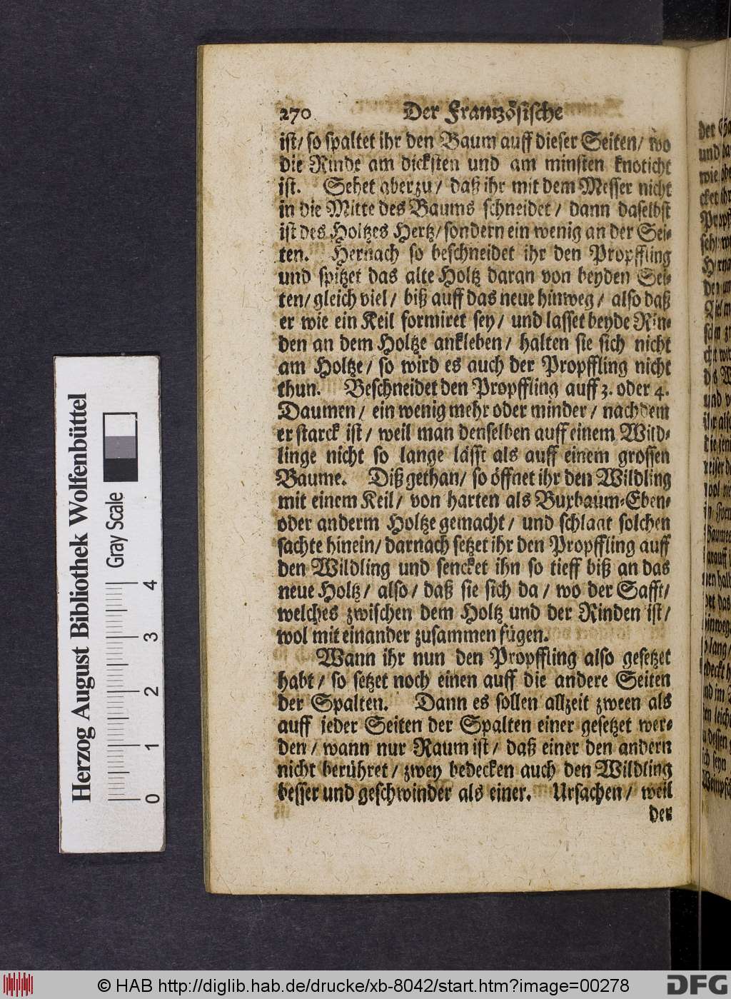 http://diglib.hab.de/drucke/xb-8042/00278.jpg